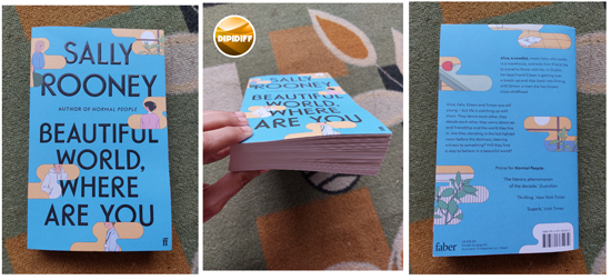 Review Buku Beautiful World, Where Are You - Sally Rooney